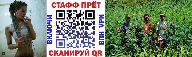 Купить наркотики сайты Березники Псилоцибиновые грибы  APVP  Кокаин  Меф  Каннабис  ГАШ 