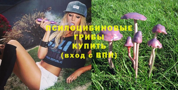 дурь Нягань