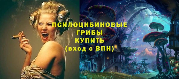 дурь Нягань